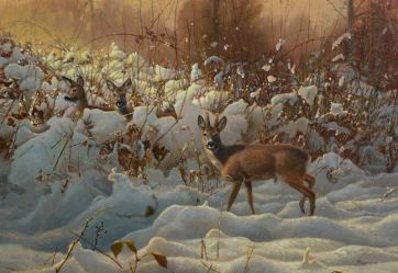 1 Auf den zweiten Blick -- Winterrehe 70x100cm.jpeg