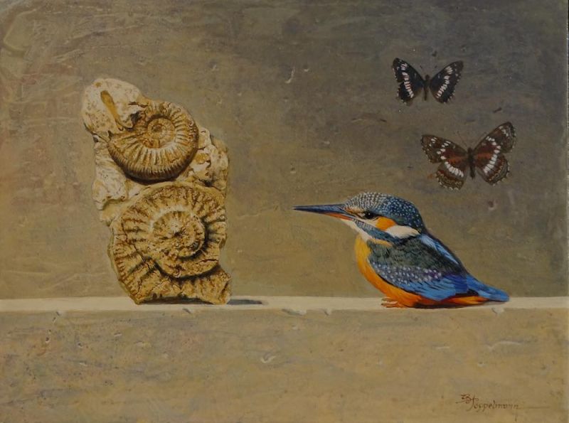 Eisvogel
