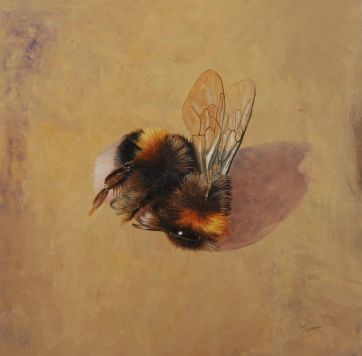 Erdhummel 100 x 100 cm.jpeg