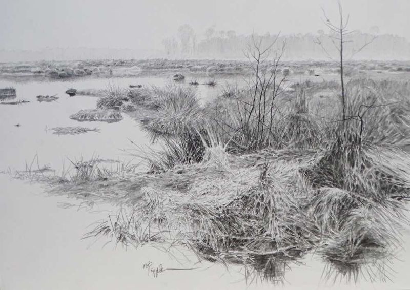 Moorlandschaft