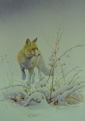 11 Rotfuchs 60x40cm.jpeg