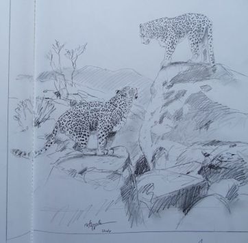 Leoparden.jpeg