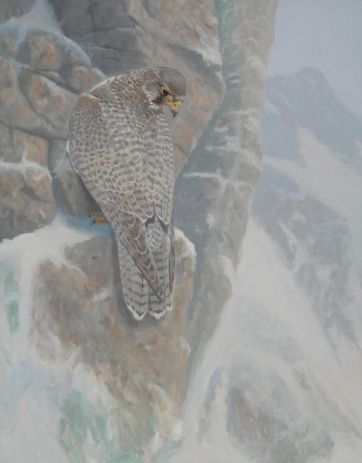 Getarnt - Gerfalke 100 x 80 cm.jpeg
