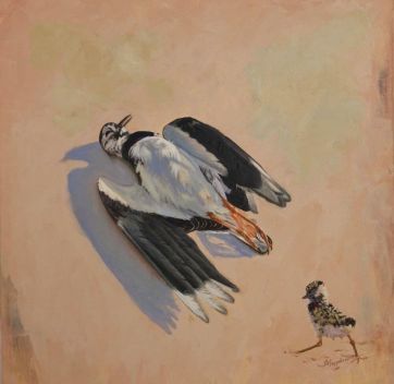 Requiem für den Kiebitz 100 x 100 cm.jpeg