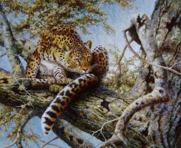 15 Leopard 70x80cm.jpeg