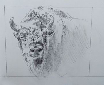 Wisent.jpeg