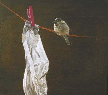 24-Sperlingsmann 22x26cm.jpg