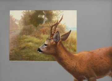 19 Rehbock 50x70cm.jpeg