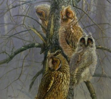 7 Waldohreulen 80x80cm.jpeg