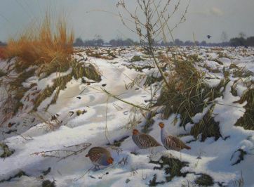 Karge Zeit - Rebhühner 80 x 120 cm.jpeg