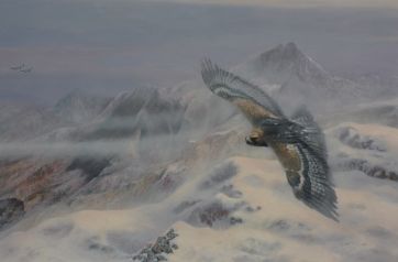 In seinem Revier - Steinadler 80 x 120 cm.jpeg
