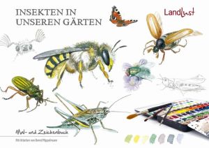 Insekten in unseren Gärten