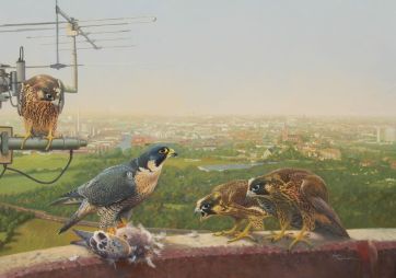 Wanderfalken am Funkturm in Münster 140x200cm.jpeg