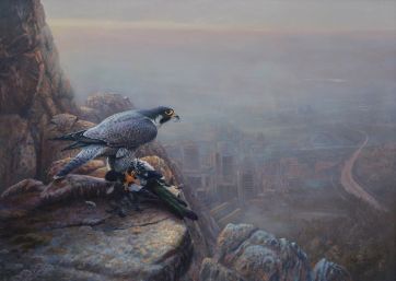Auf hoher Warte - Wanderfalke 100x140cm.jpeg
