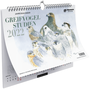 Kalender Greifvogelstudien von Bernd Pöppelmann 2022