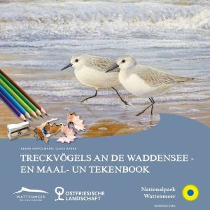 Zugögel am Wattenmeer