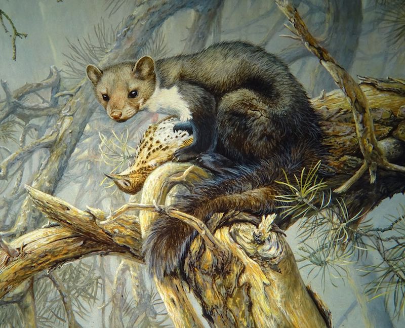 Galerie 2 Bernd Poppelmann